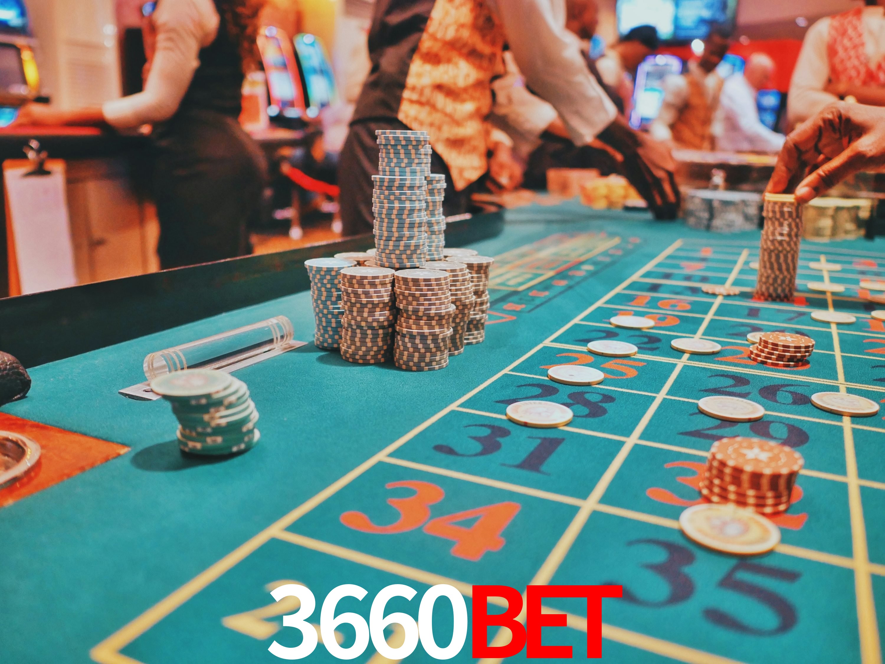 Interface Premium 3660bet